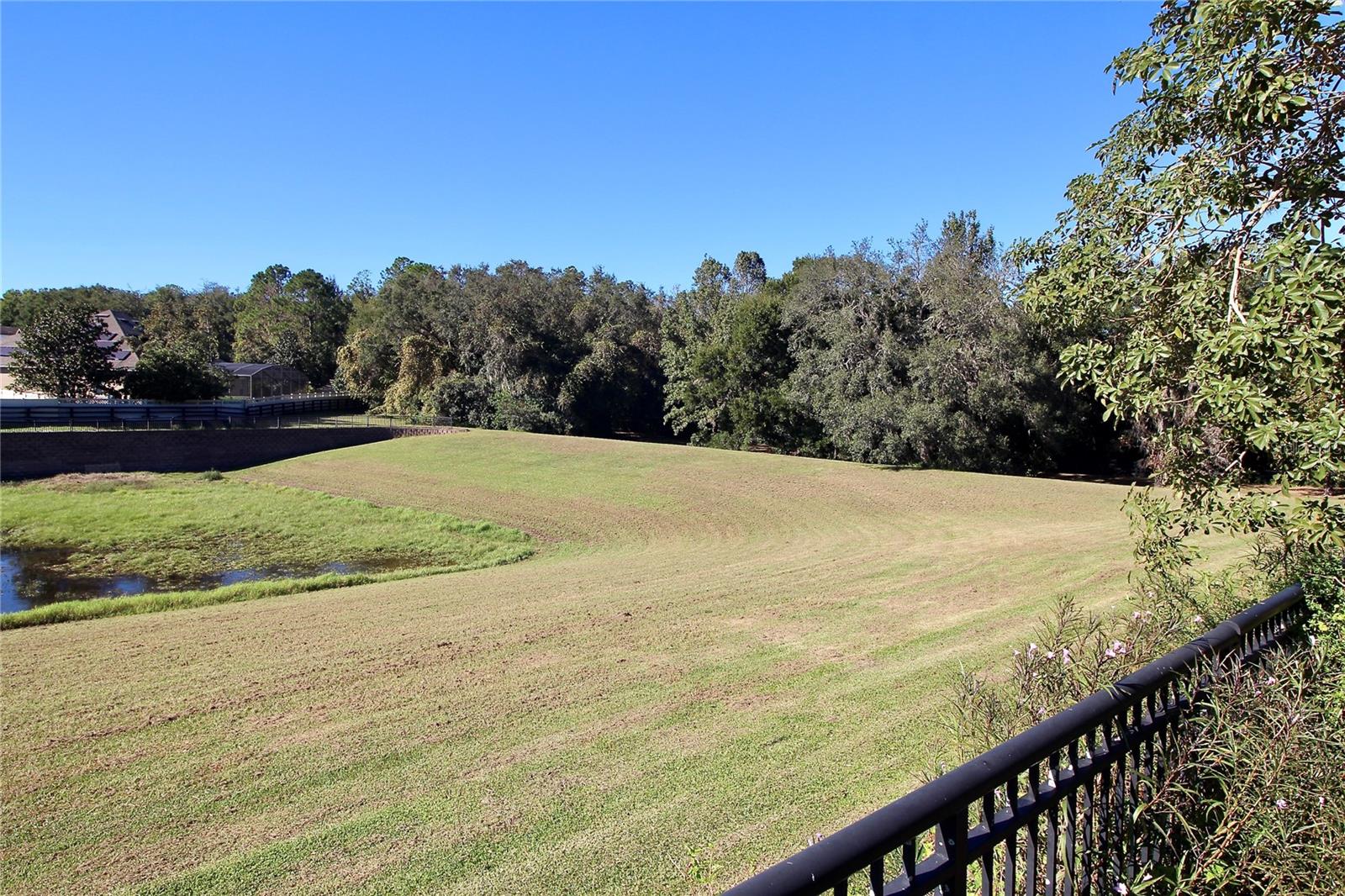 Image 6 of 39 For 30628 Lipizzan Terrace