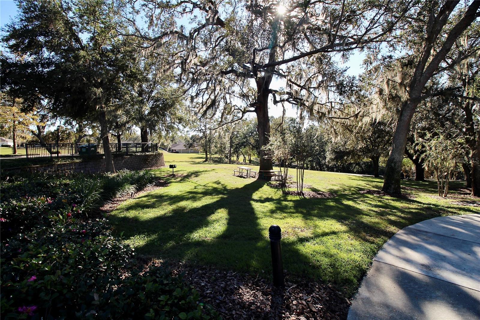 Image 9 of 39 For 30628 Lipizzan Terrace