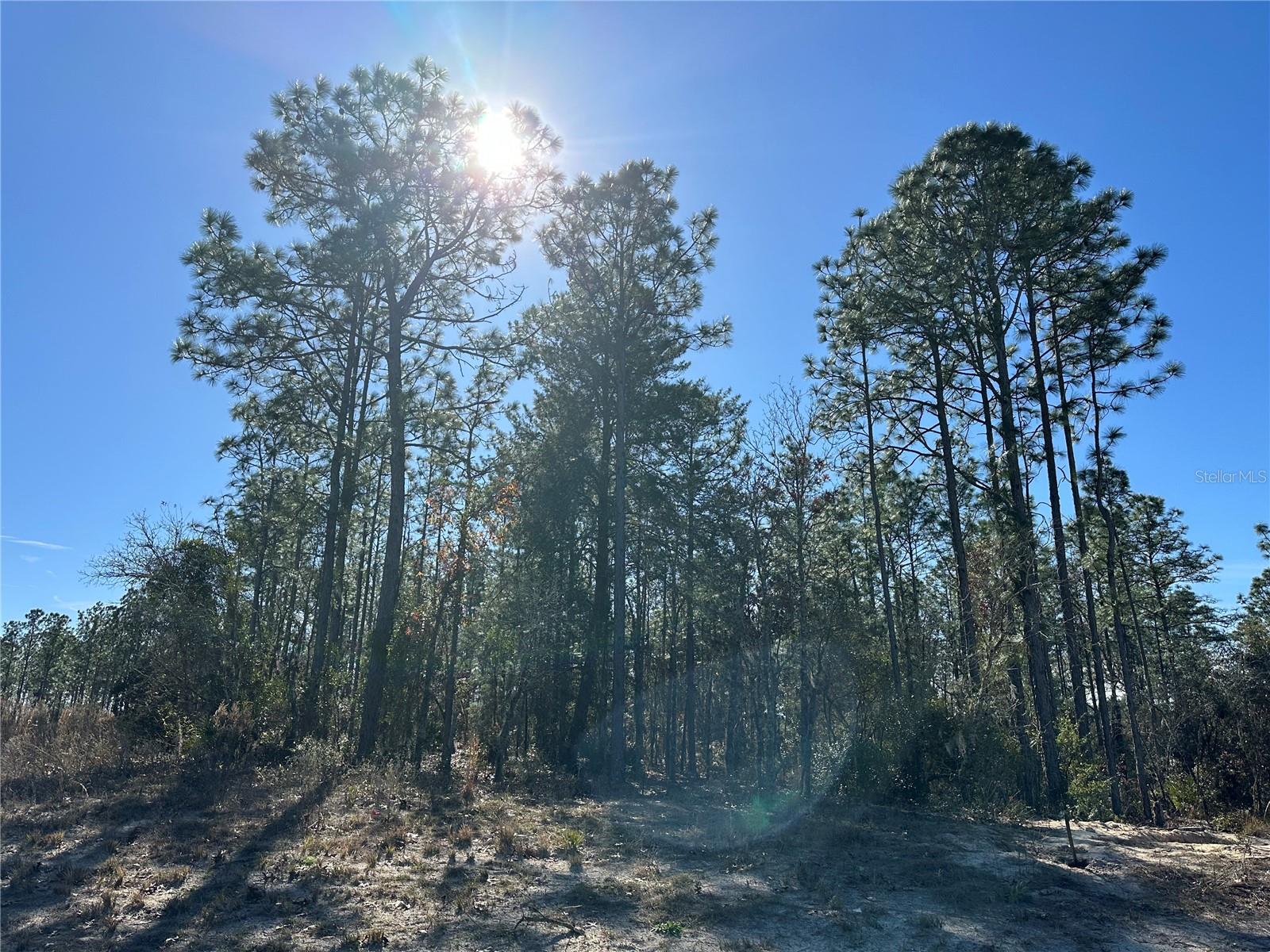 Details for  87th Avenue , DUNNELLON, FL 34432