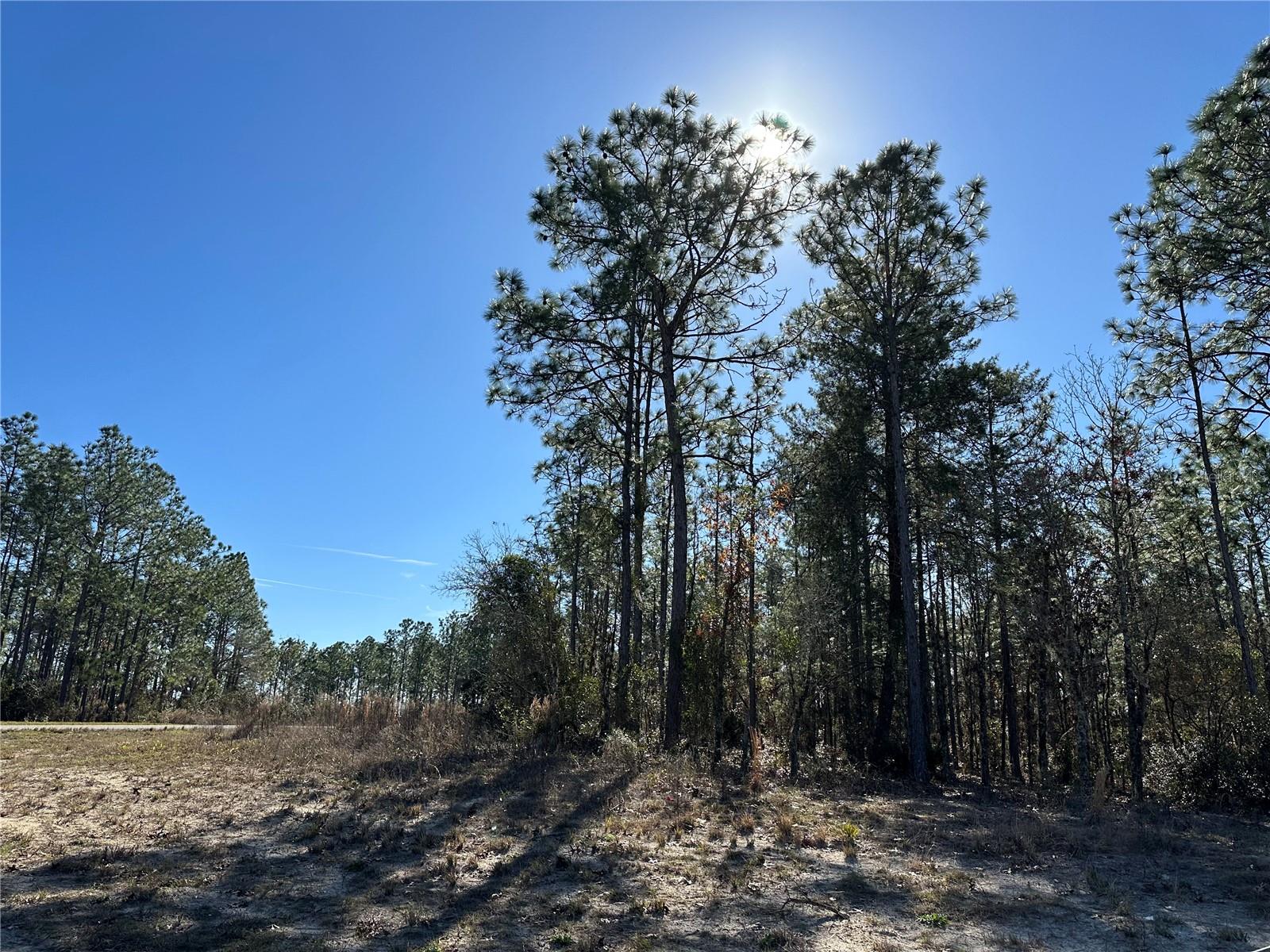 Image 3 of 3 For  87th Avenue 