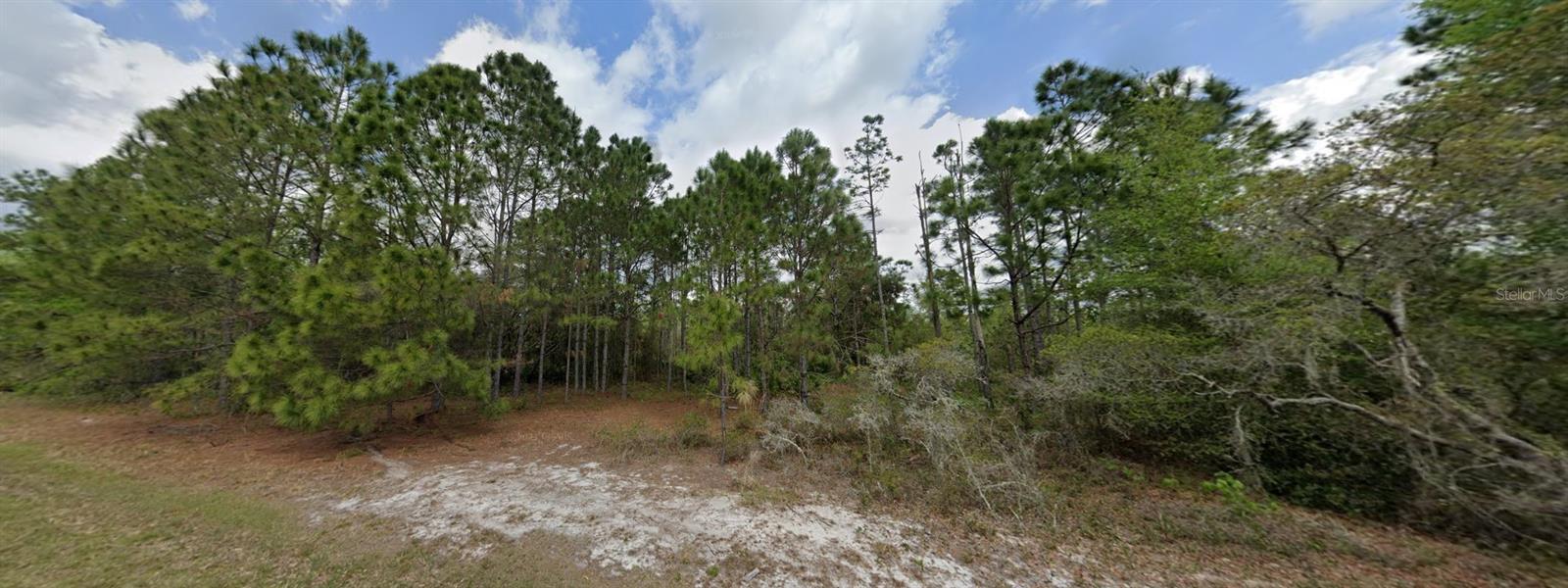 Listing Details for 6115 Oil Well Road, CLERMONT, FL 34714