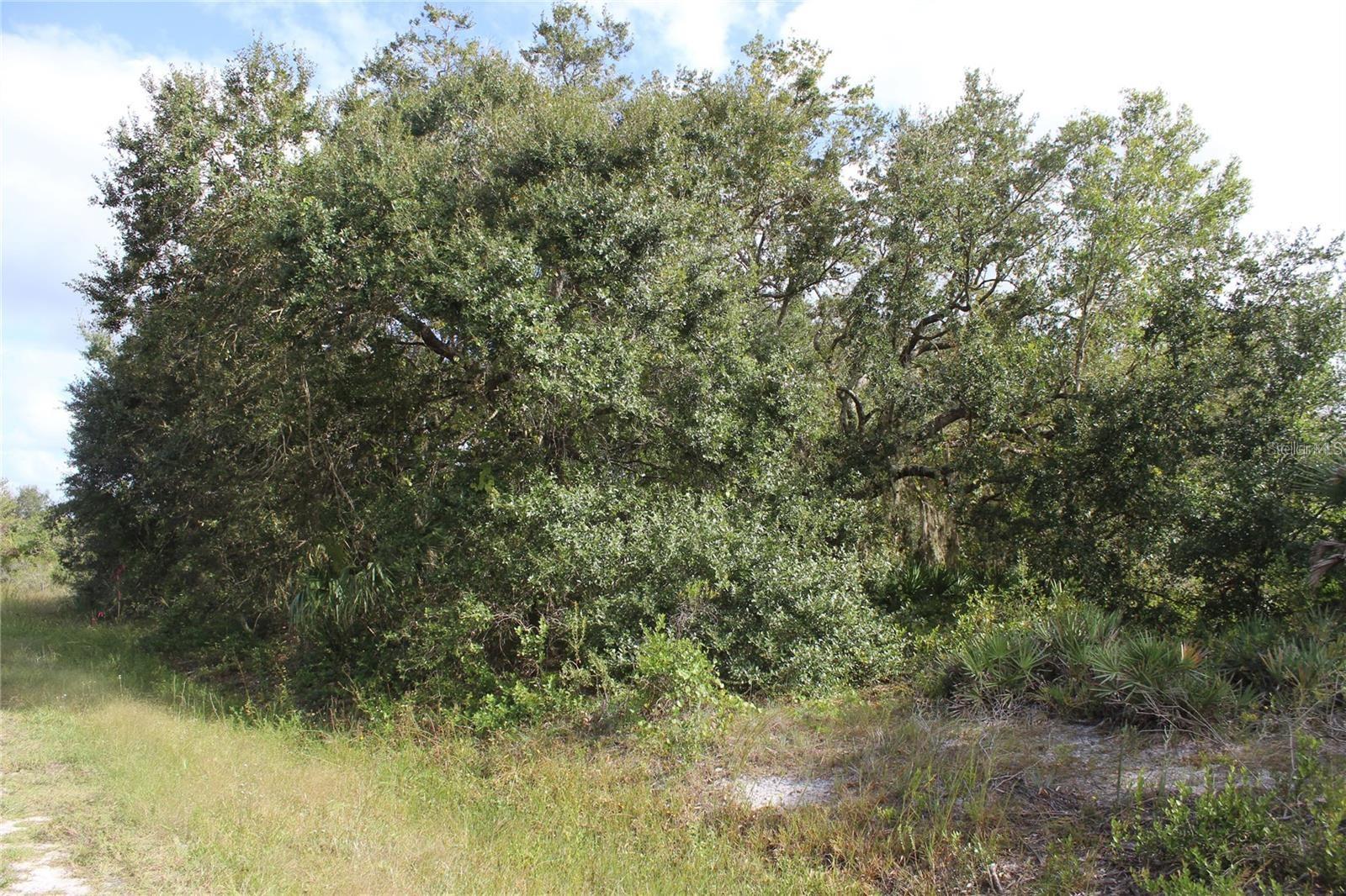 Image 4 of 13 For 304th Street