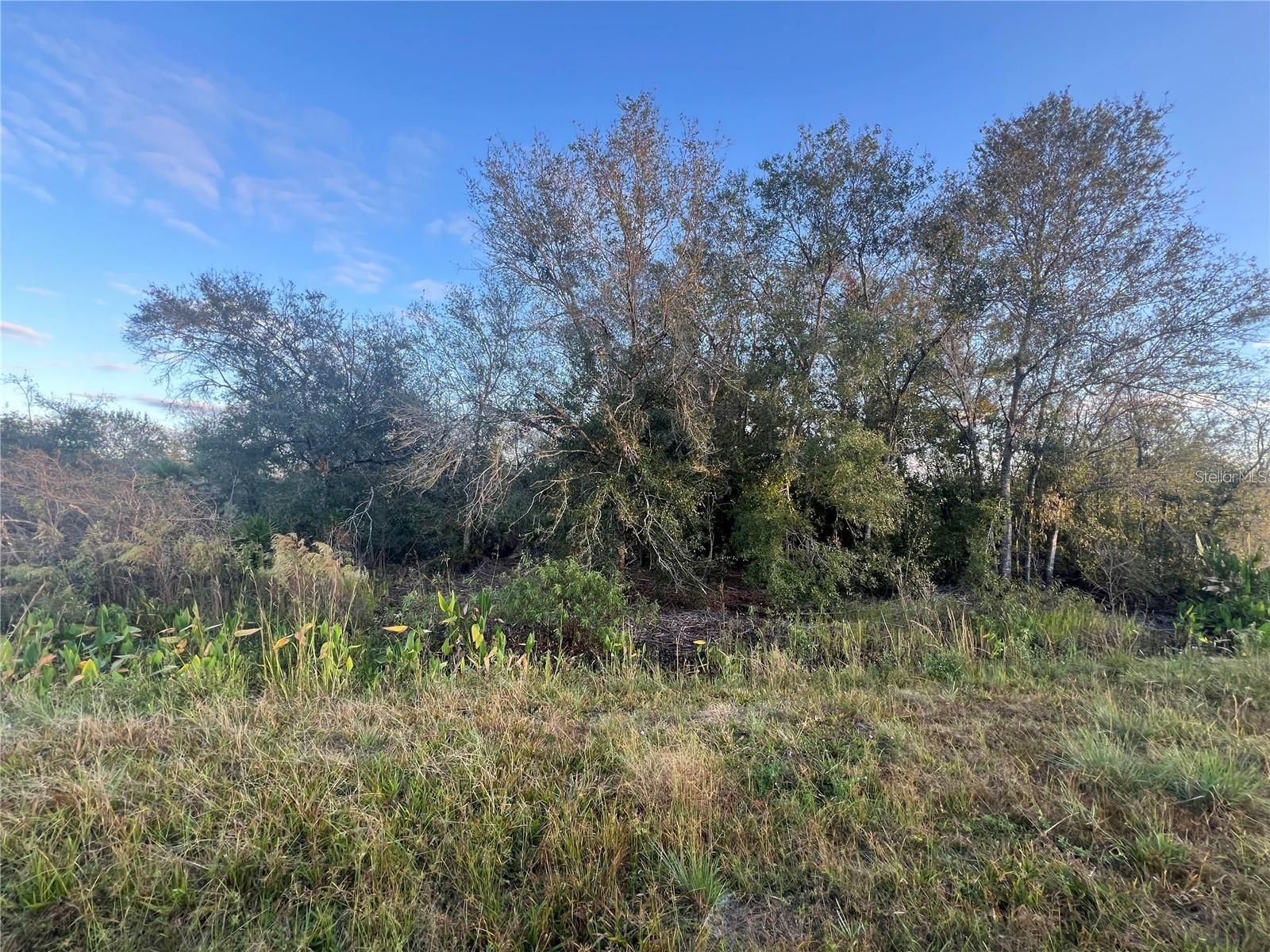 Image 6 of 13 For 304th Street