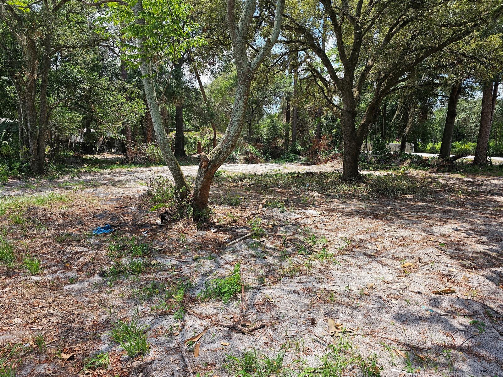 Image 9 of 13 For 31444 State Road 44