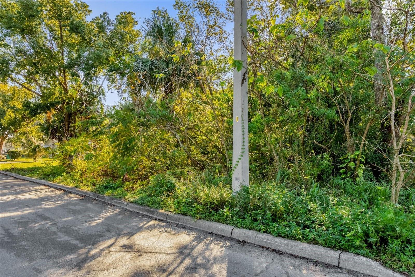 Image 11 of 20 For Tbd Jackson Avenue