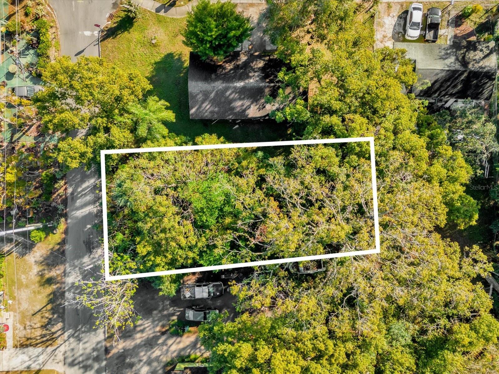 Image 14 of 20 For Tbd Jackson Avenue