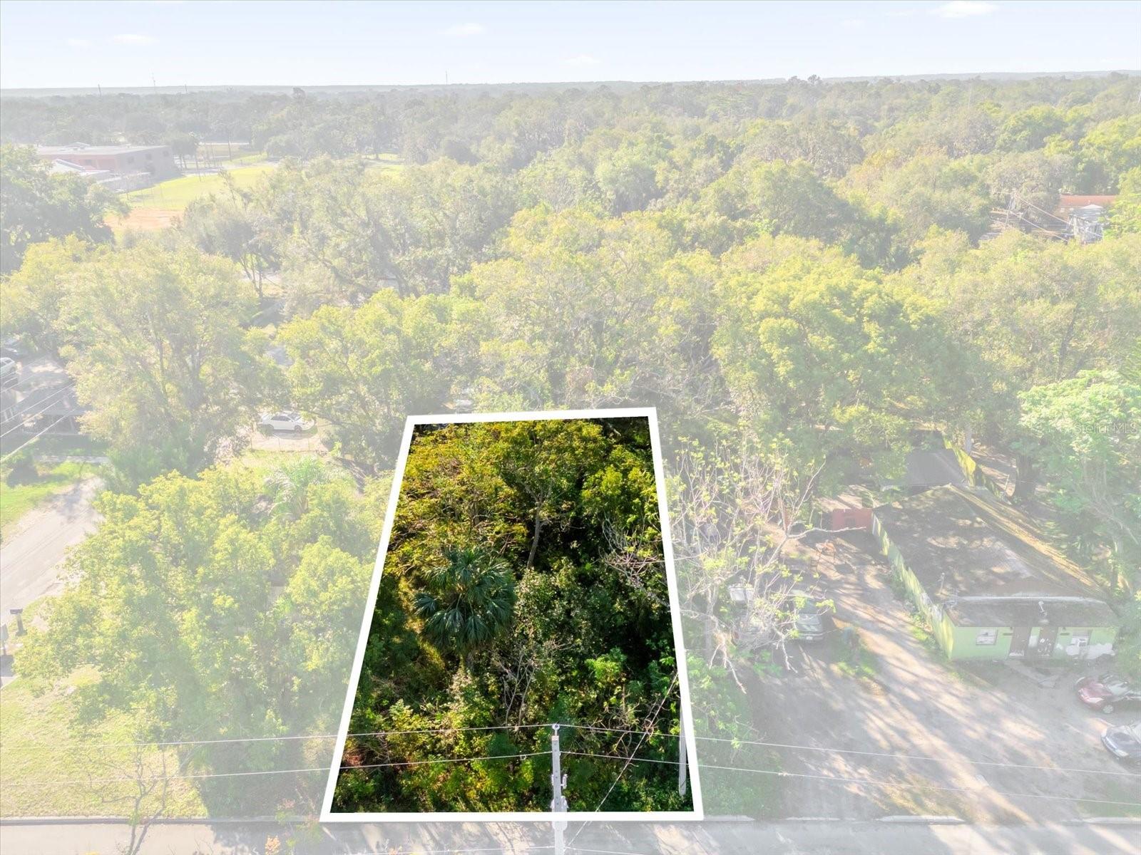 Image 15 of 20 For Tbd Jackson Avenue