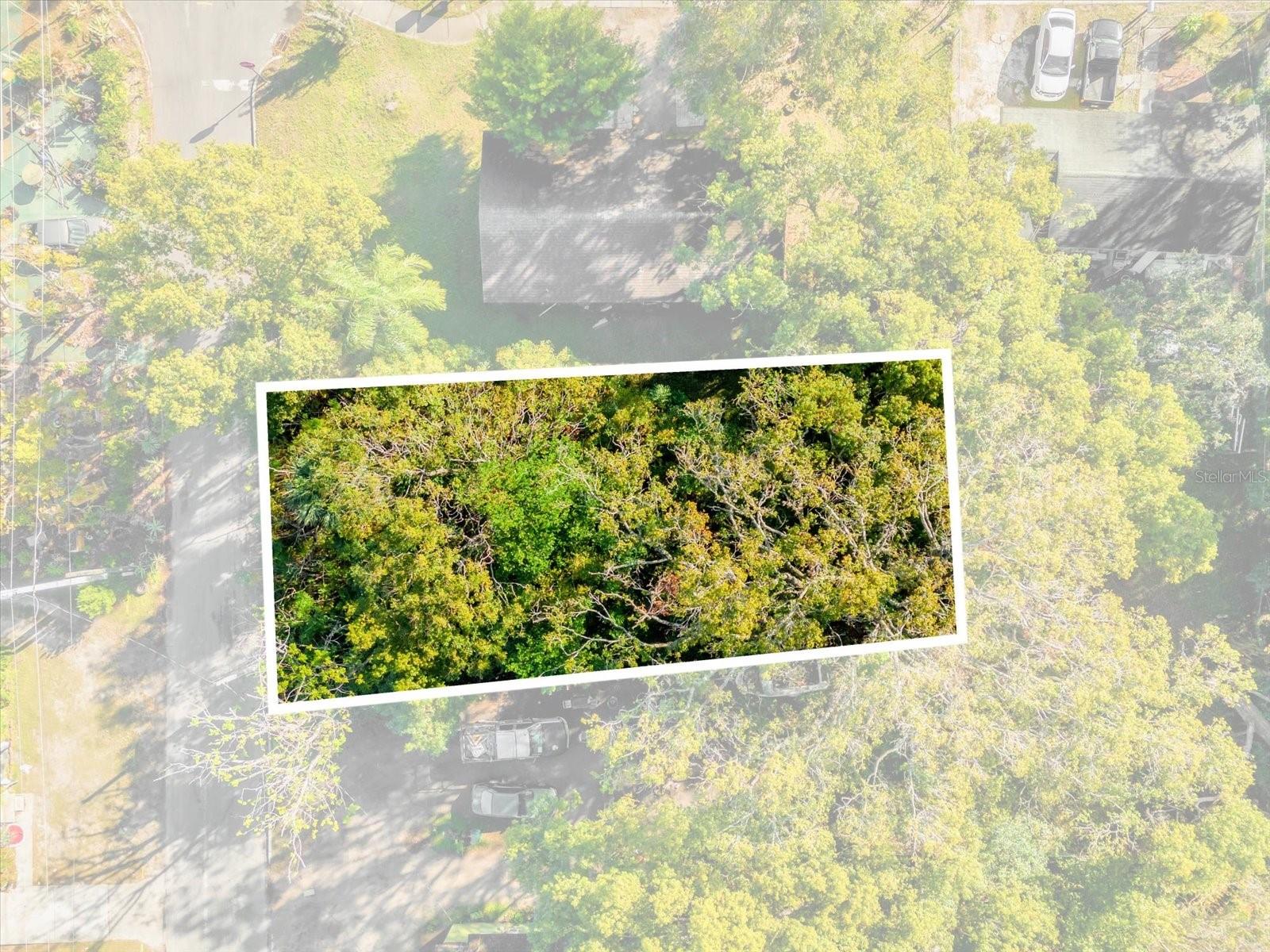 Image 18 of 20 For Tbd Jackson Avenue