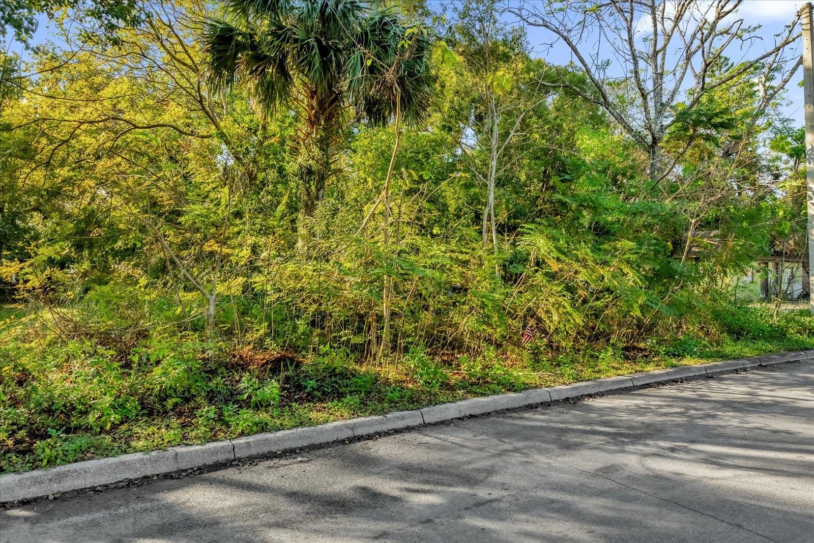 Image 7 of 20 For Tbd Jackson Avenue