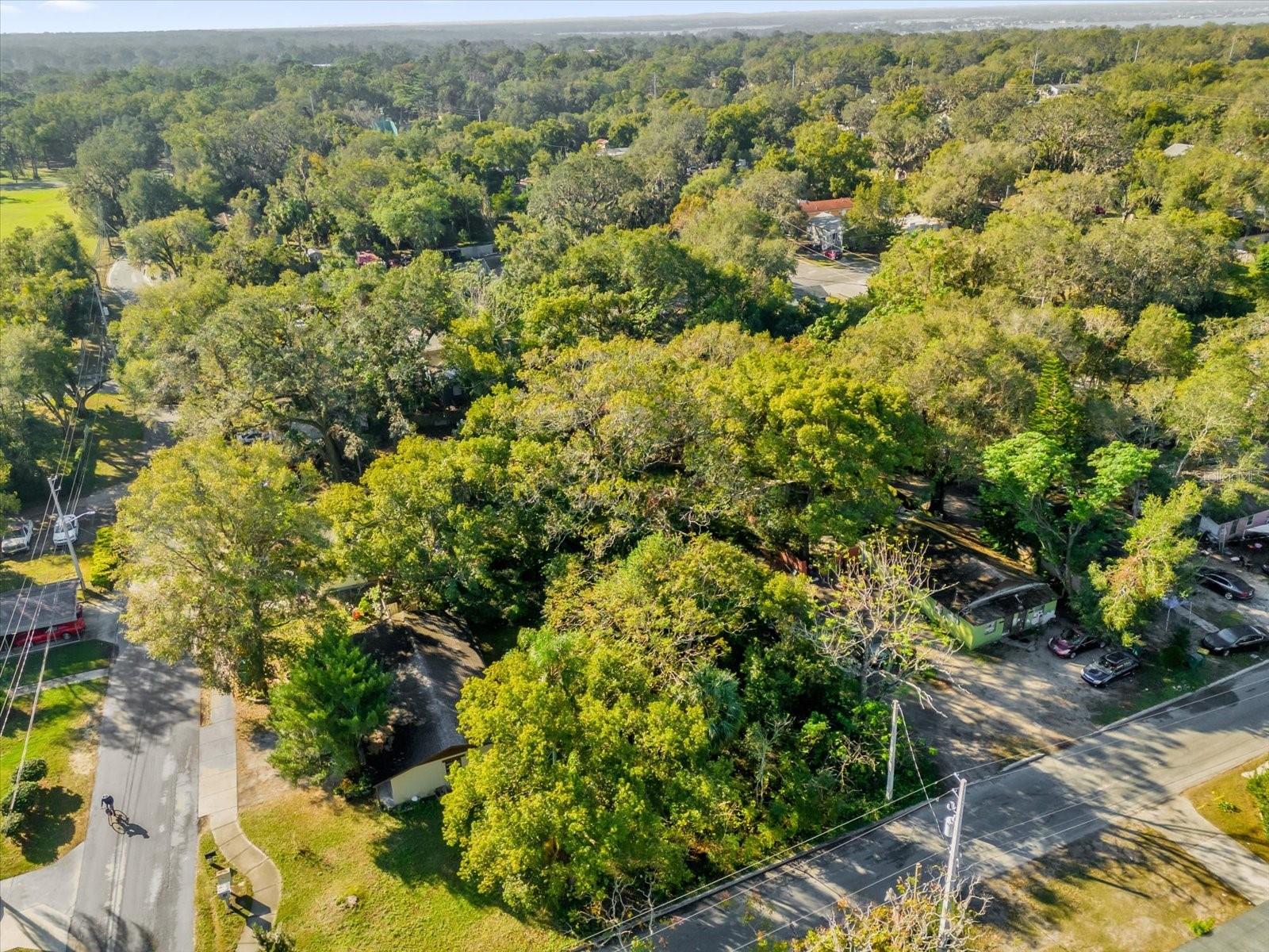 Image 8 of 20 For Tbd Jackson Avenue