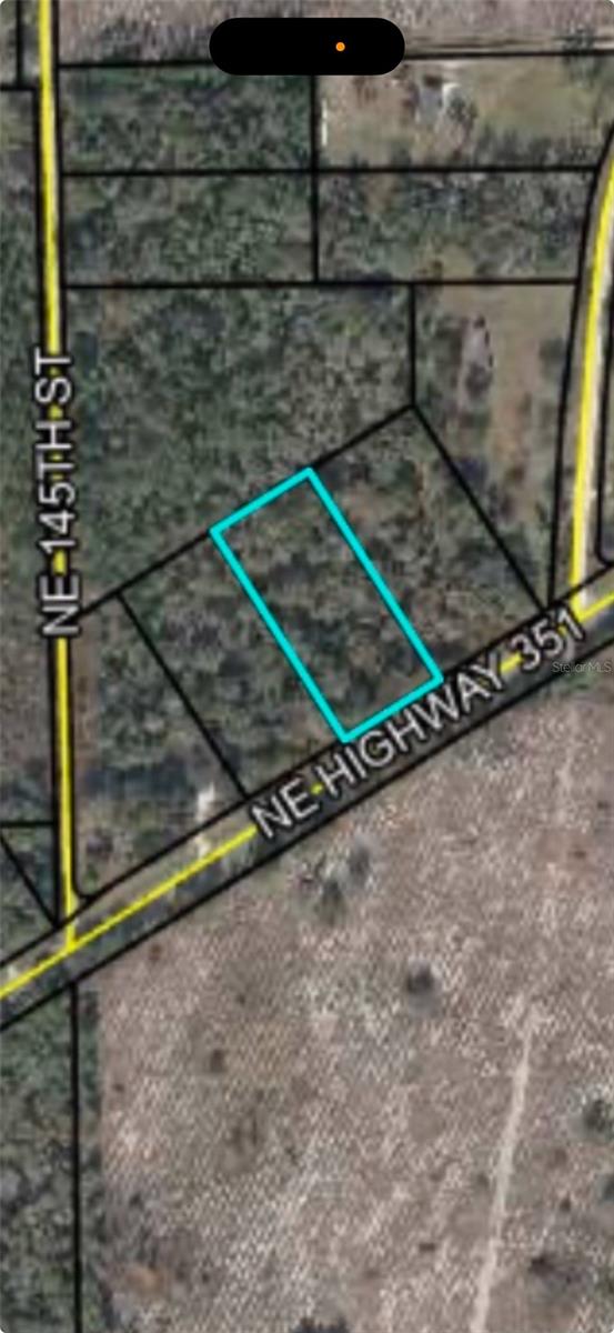 Listing Details for  Highway 351  , CROSS CITY, FL 32628