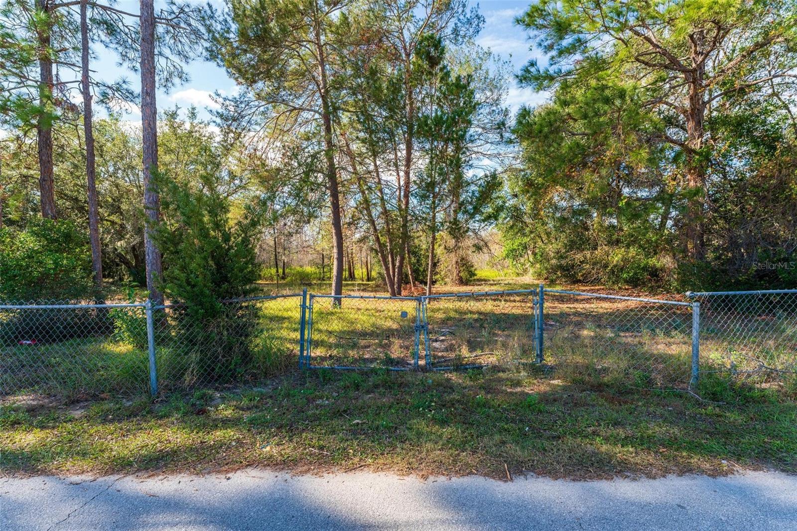 Details for Sunland Avenue, LEESBURG, FL 34788