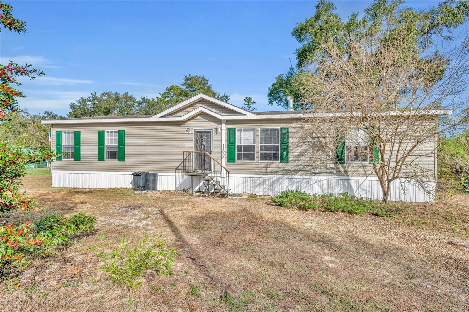 Details for 11005 165th Terrace Road, OCKLAWAHA, FL 32179