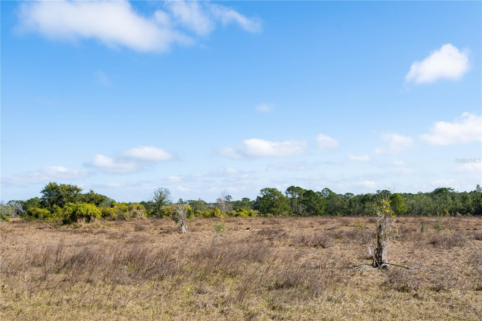 Image 7 of 10 For Jameson Farm Road