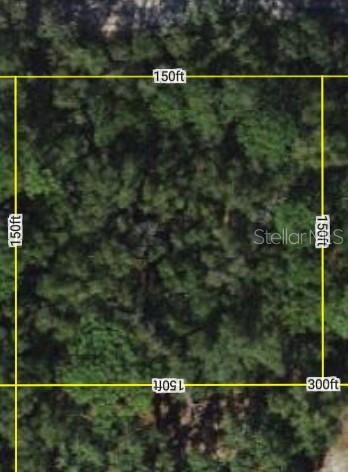 Listing Details for 4819 123rd Road, WEBSTER, FL 33597