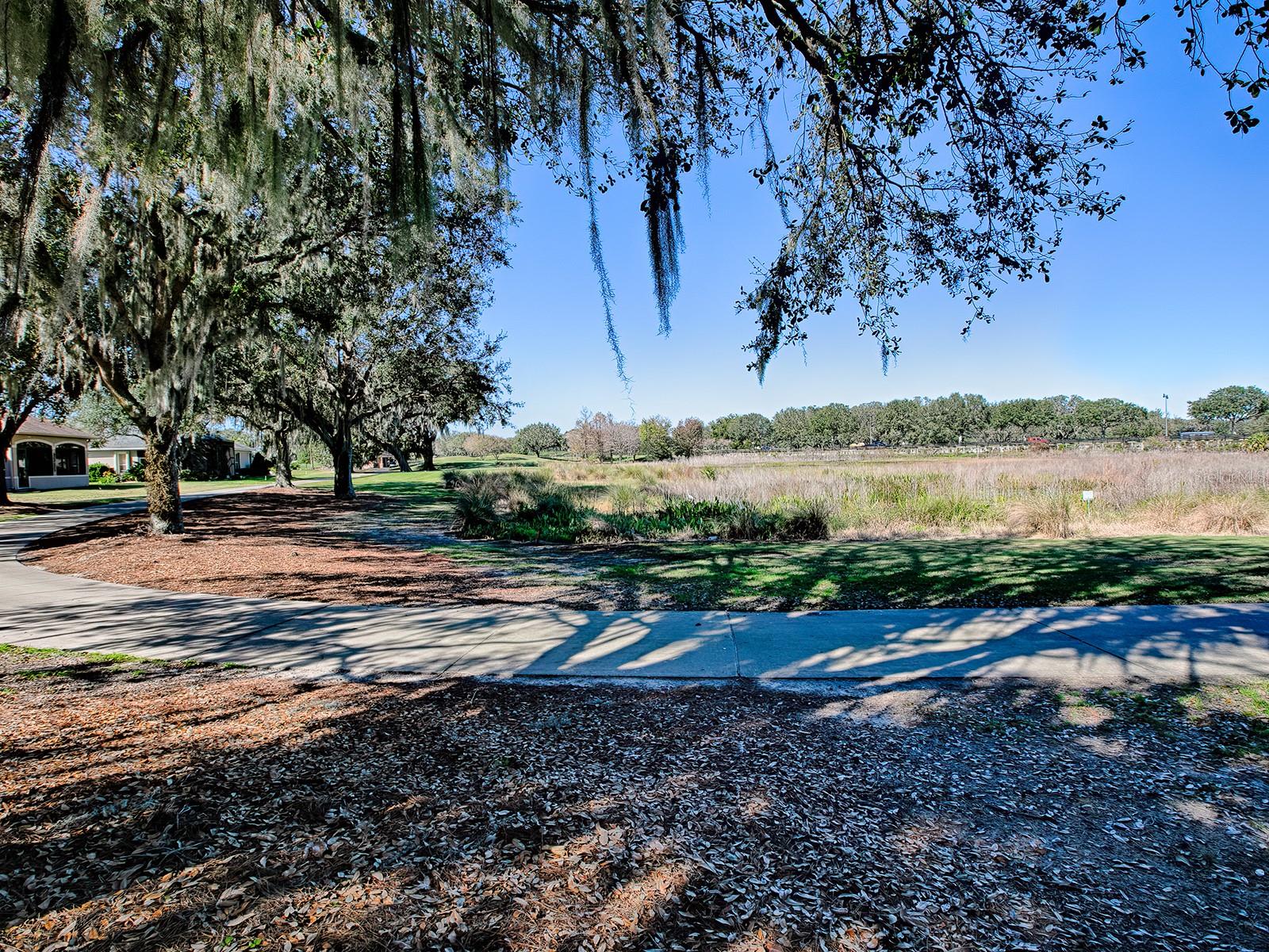 Image 67 of 77 For 640 Ternberry Forest Drive