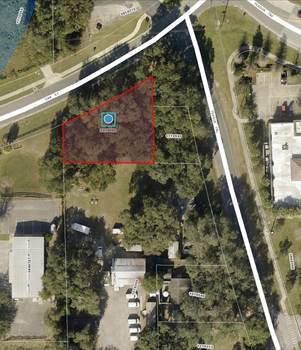 Details for  Oak Street , LADY LAKE, FL 32159