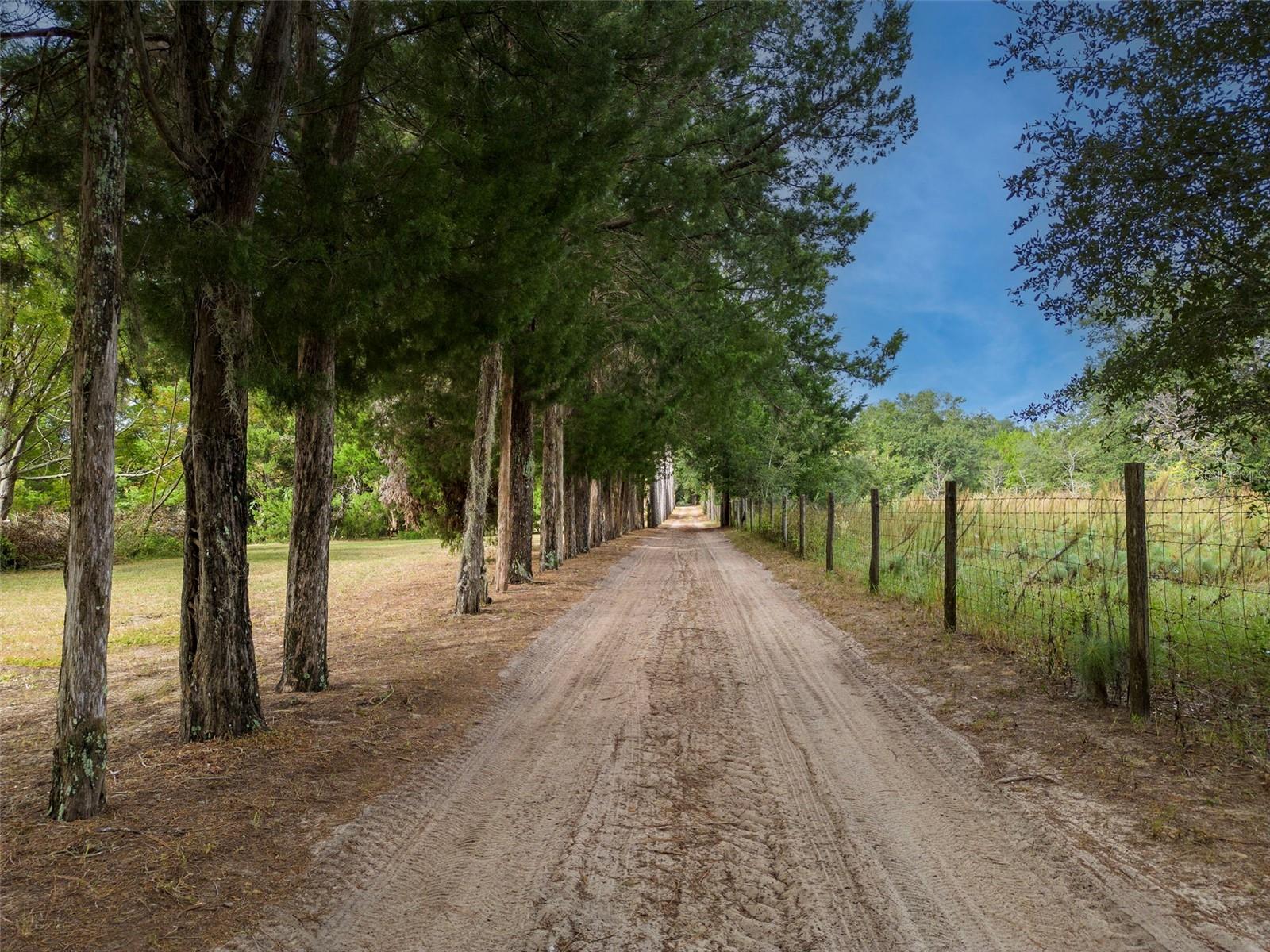 Image 8 of 46 For 40635 Thomas Boat Landing Road