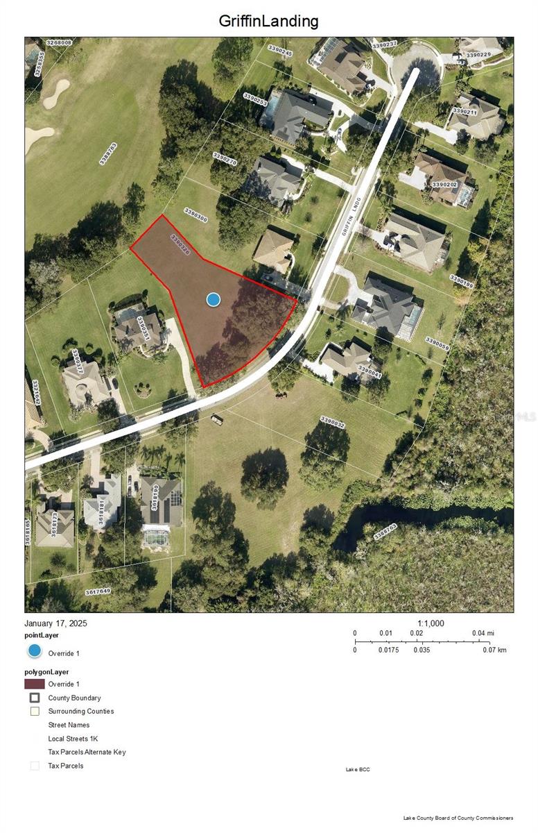 Details for Lot 17 Griffin Landing, LADY LAKE, FL 32159