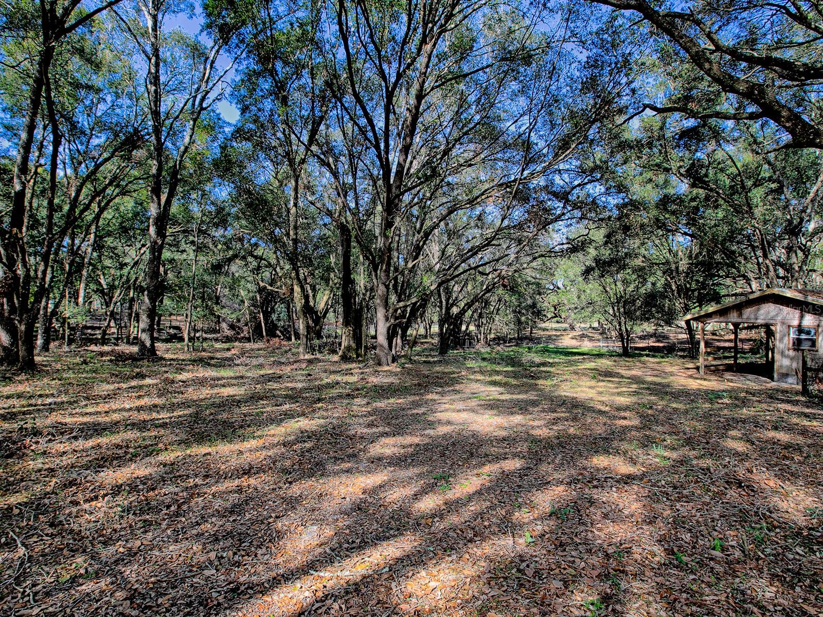 Listing photo id 37 for 3284 20th Lane