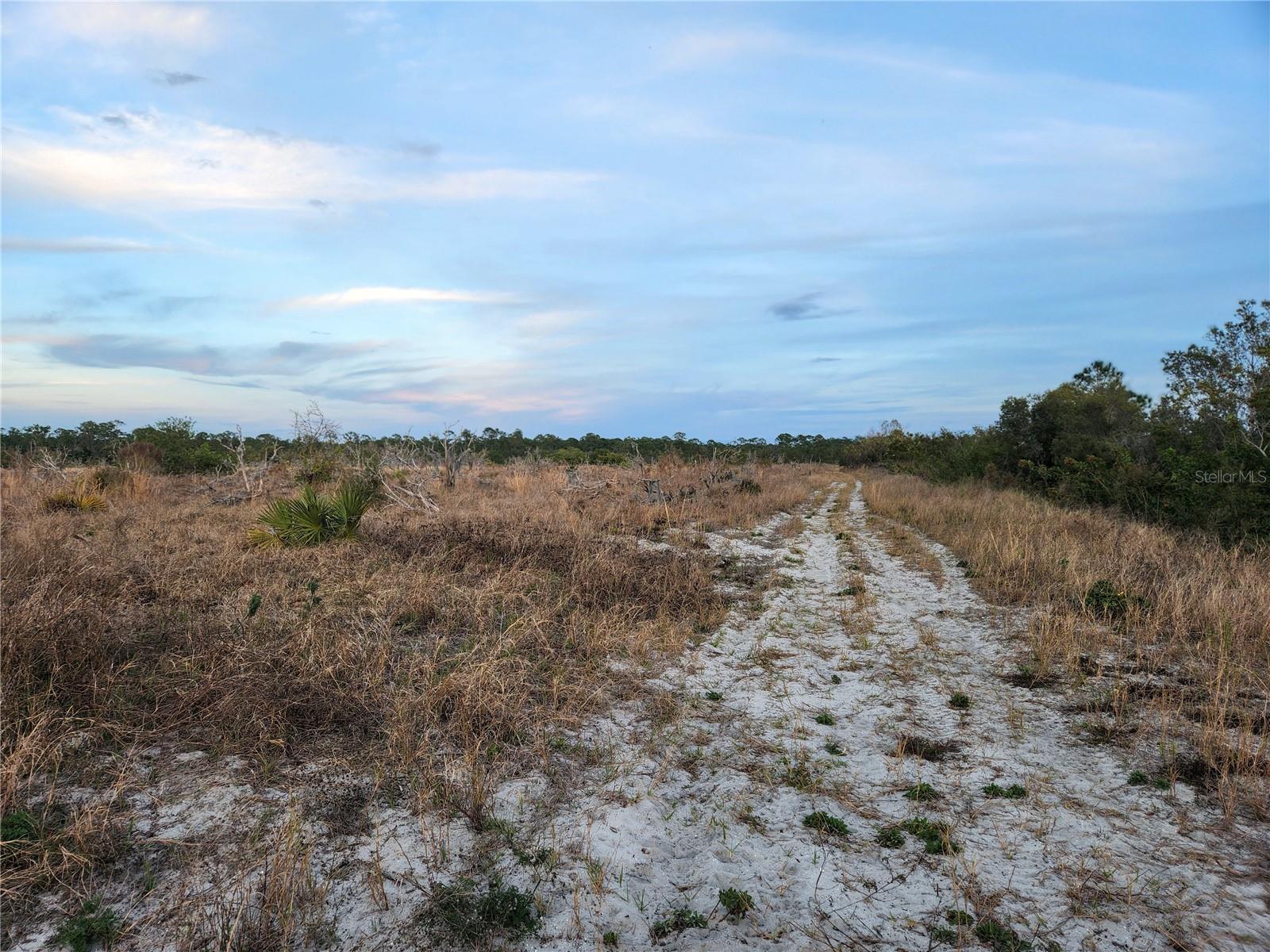 Image 11 of 32 For Frostproof Road