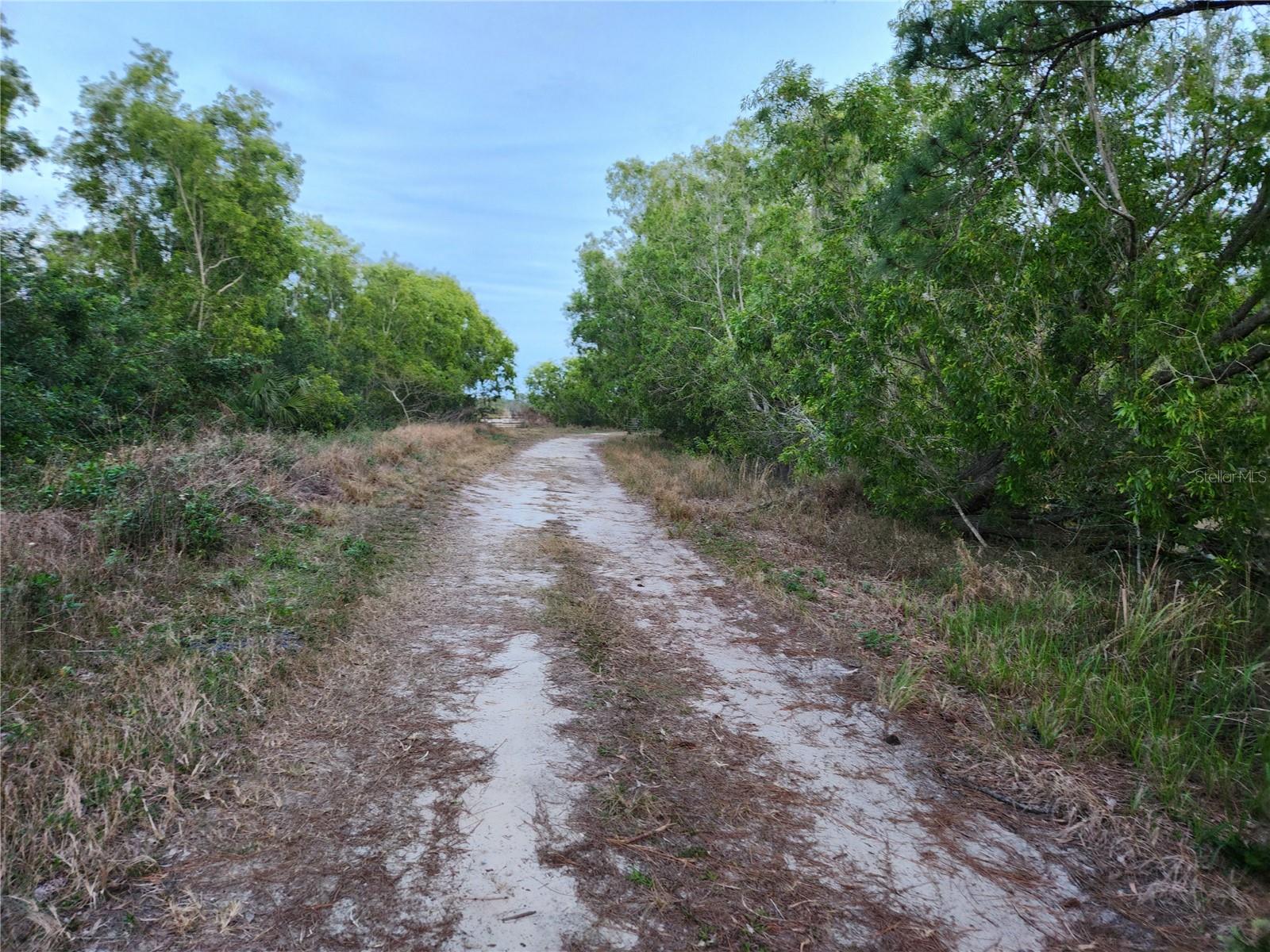 Image 4 of 32 For Frostproof Road