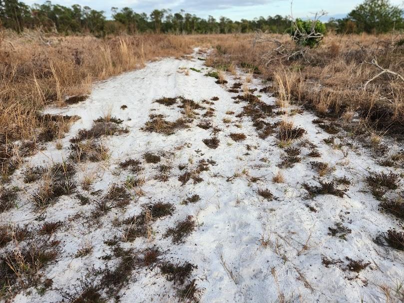 Image 12 of 20 For Frostproof Road