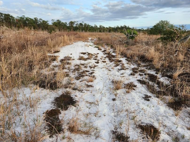 Image 14 of 20 For Frostproof Road