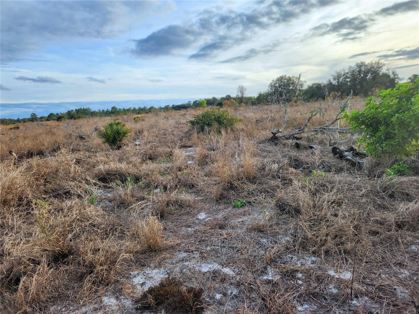 Image 15 of 20 For Frostproof Road