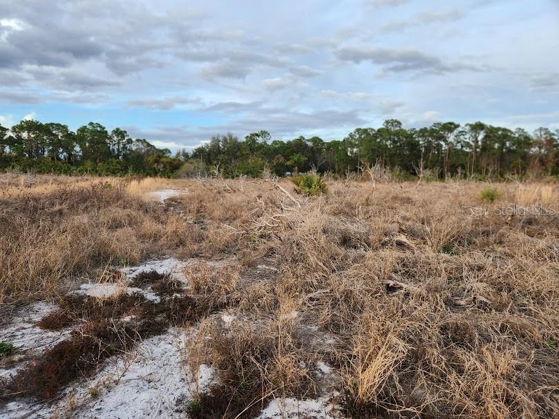 Image 11 of 30 For Frostproof Road