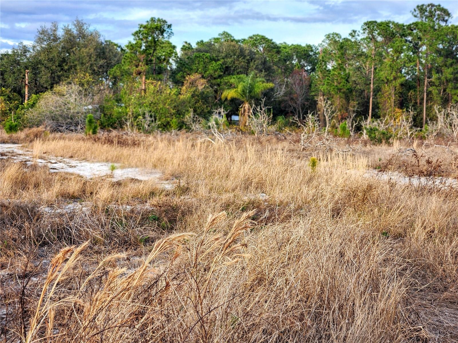 Image 14 of 30 For Frostproof Road