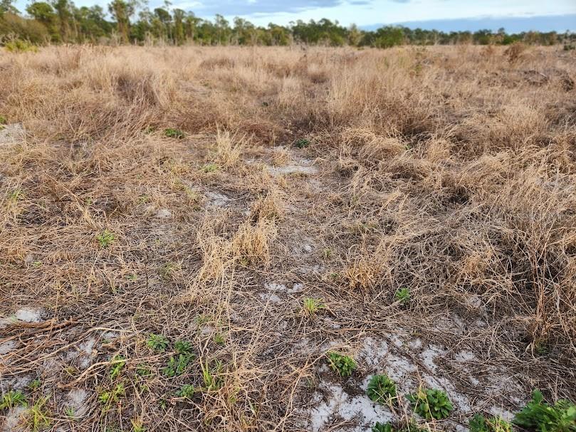 Image 16 of 30 For Frostproof Road