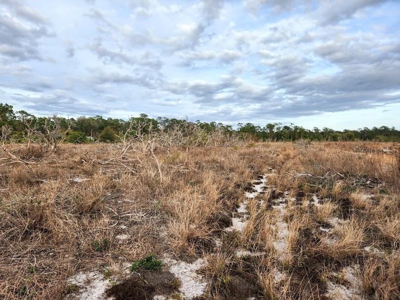 Image 19 of 30 For Frostproof Road