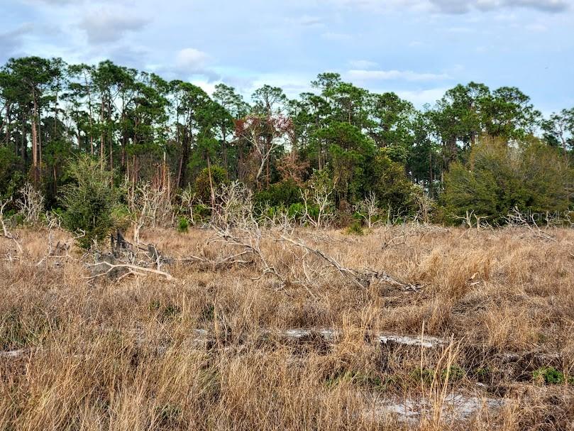 Image 6 of 30 For Frostproof Road