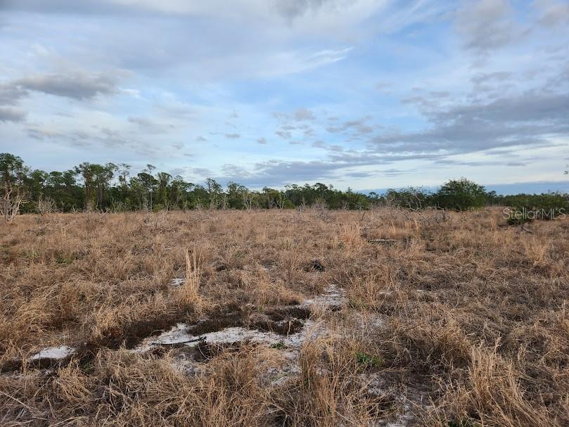 Image 8 of 30 For Frostproof Road