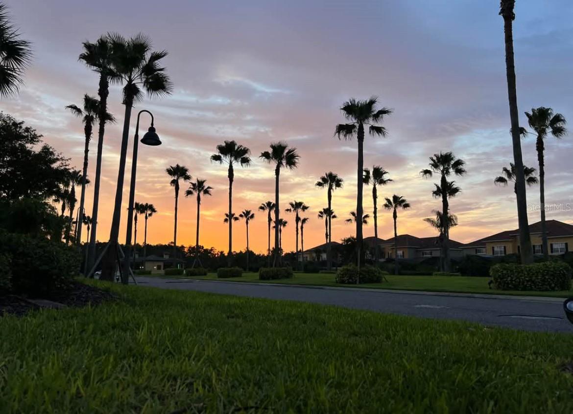 Image 64 of 65 For 8955 Coco Palm Road