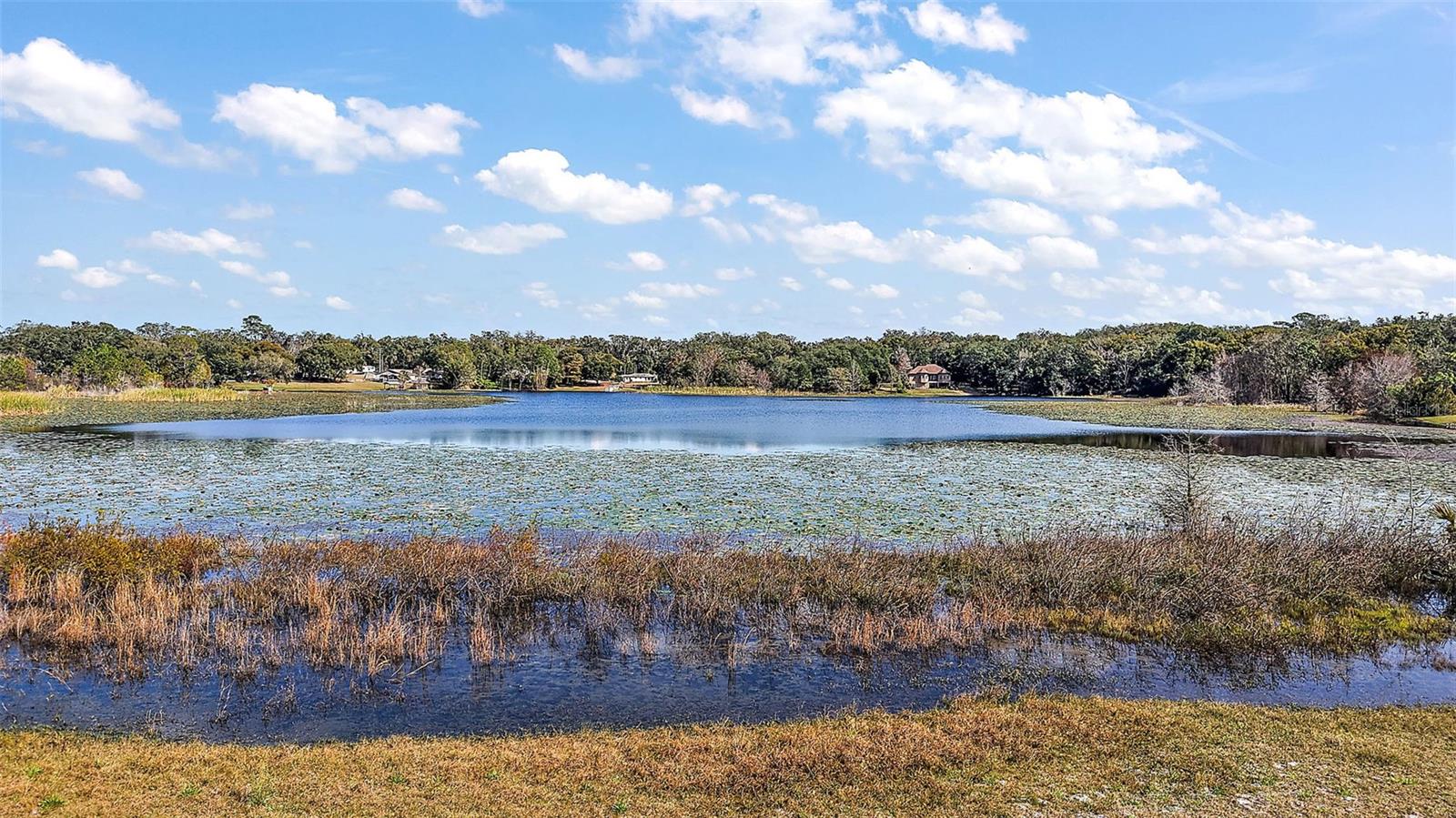 Image 60 of 80 For 1825 Myrtle Lake Avenue