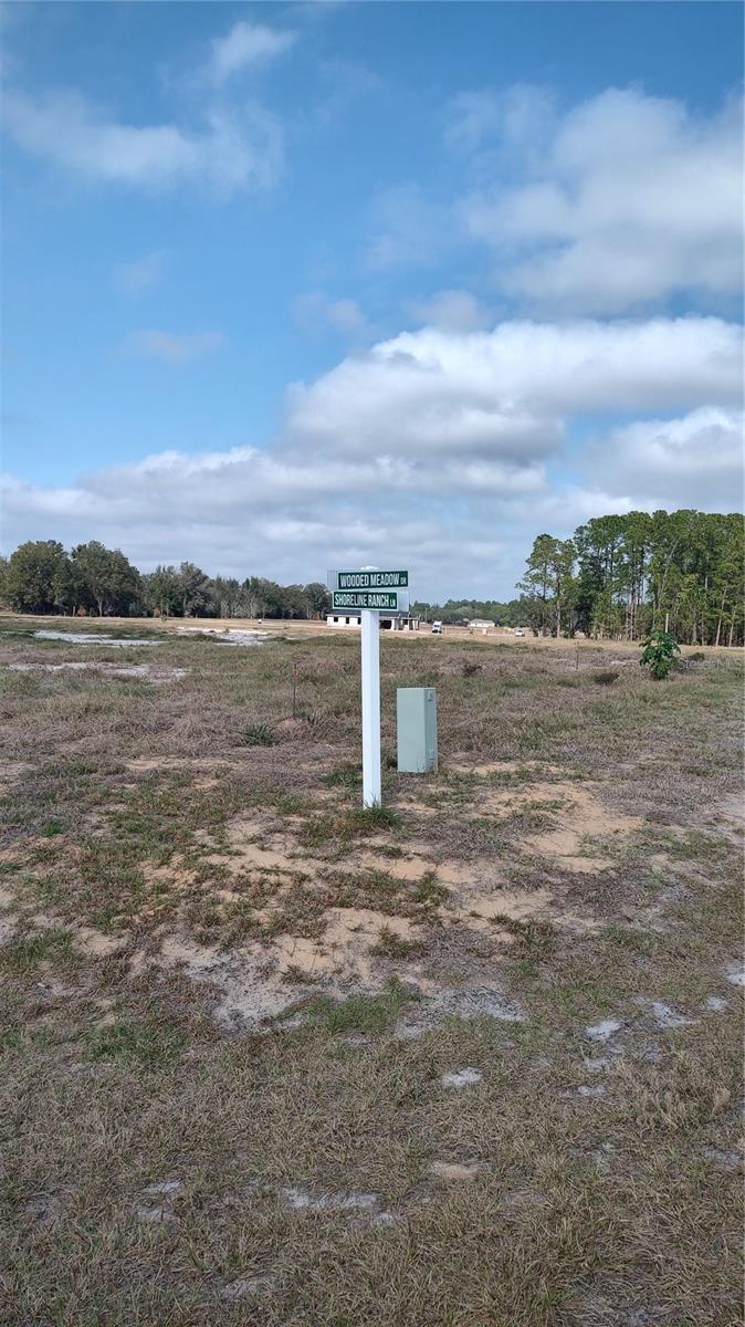 Image 12 of 16 For 38401 Wooded Meadow Drive