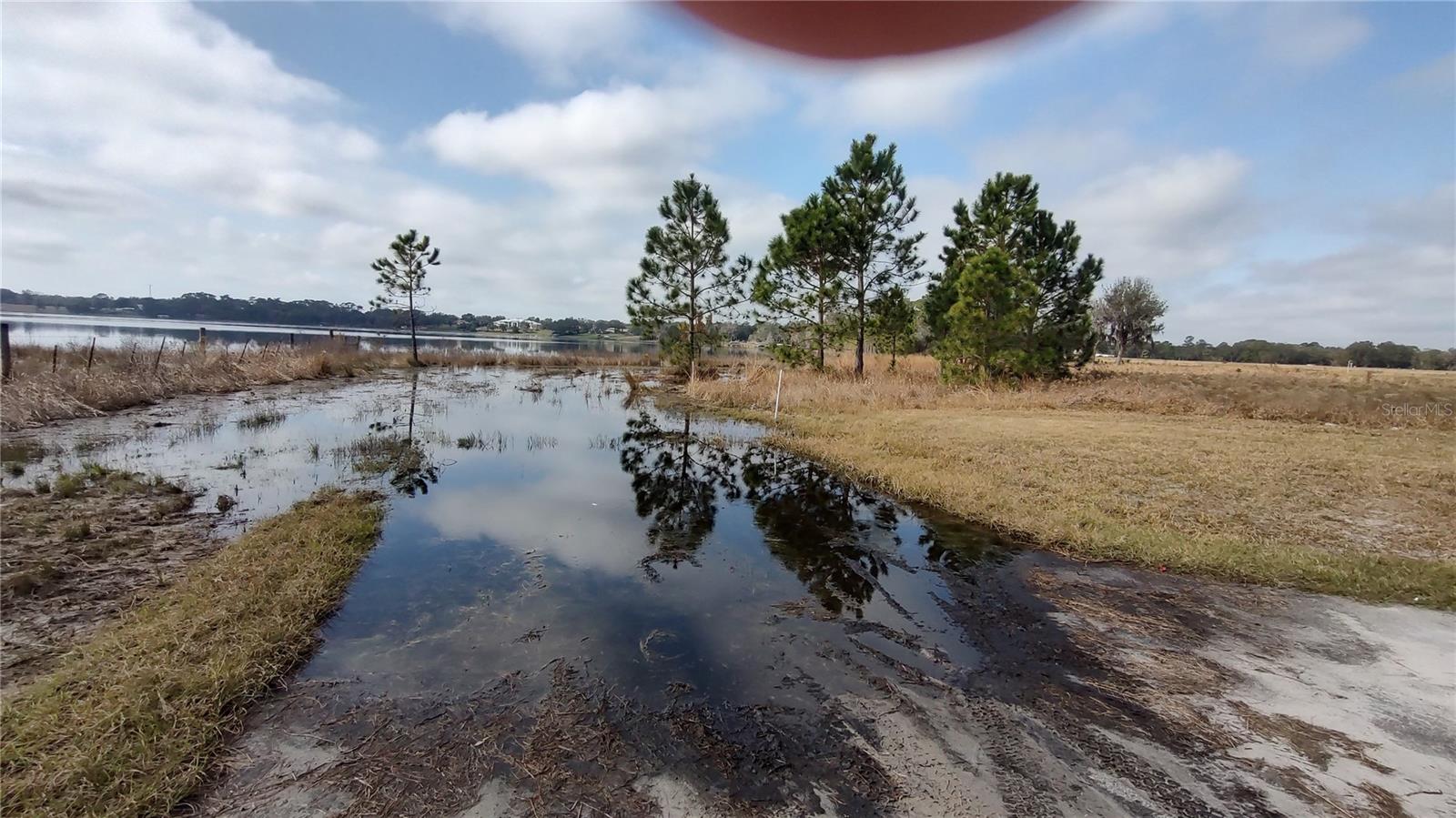 Image 14 of 16 For 38401 Wooded Meadow Drive
