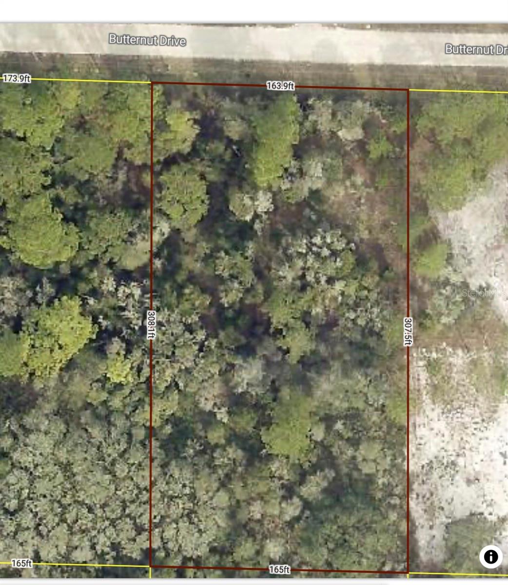 Details for Butternut Drive, WEBSTER, FL 33597
