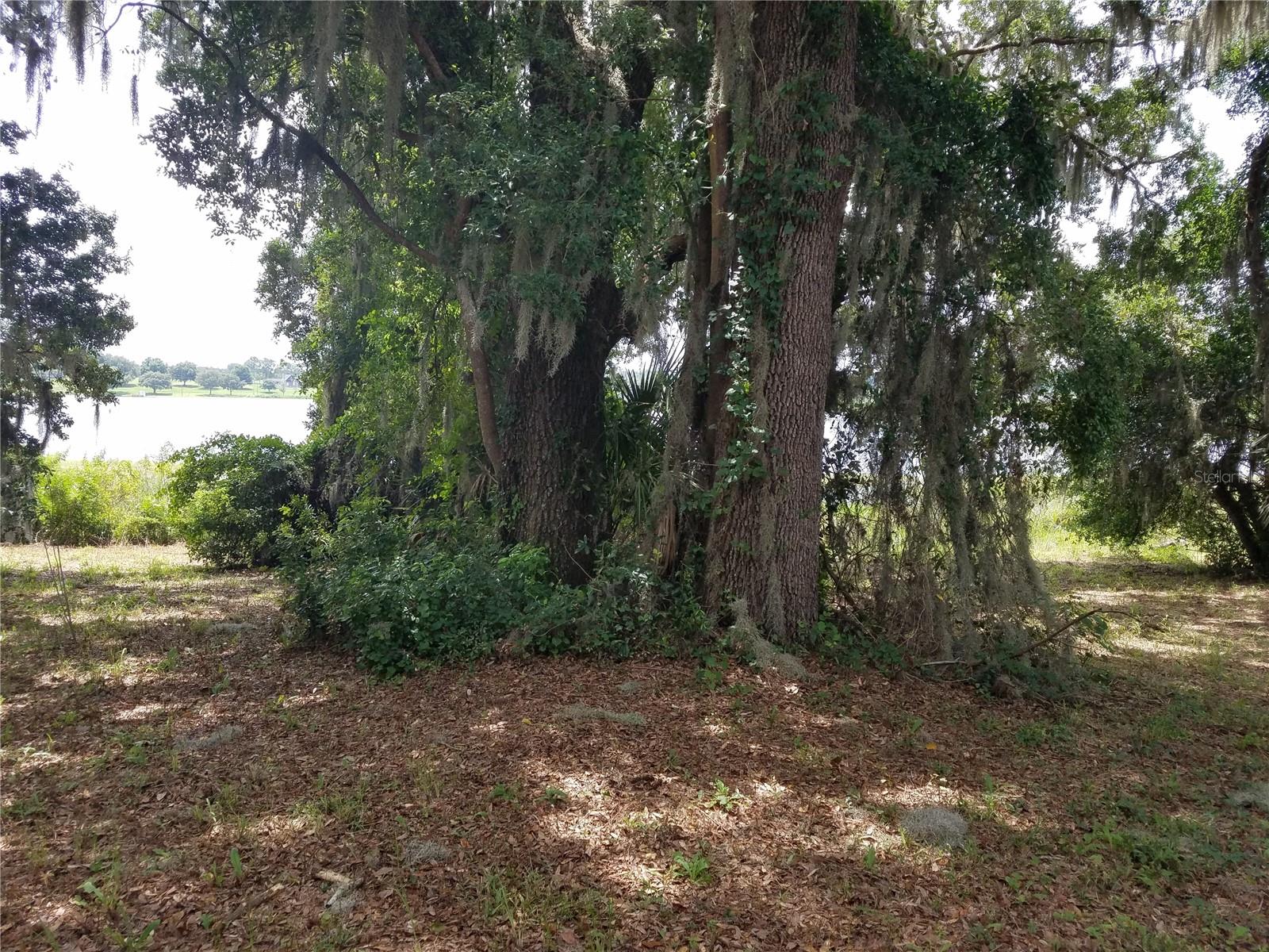 Image 18 of 26 For 40756 State Road 19