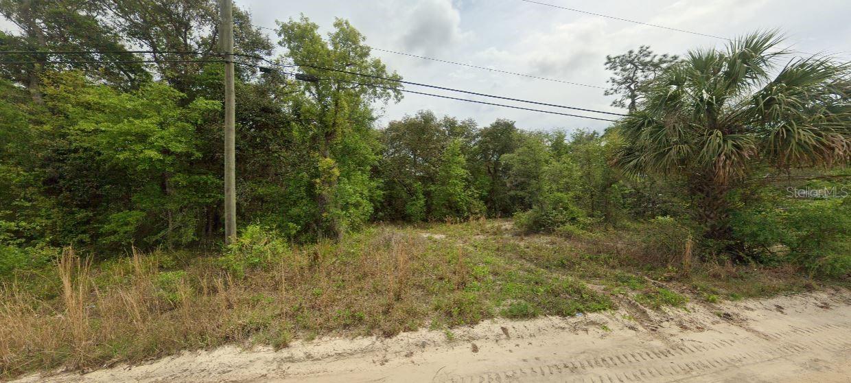 Details for Riverside Trail, SATSUMA, FL 32189