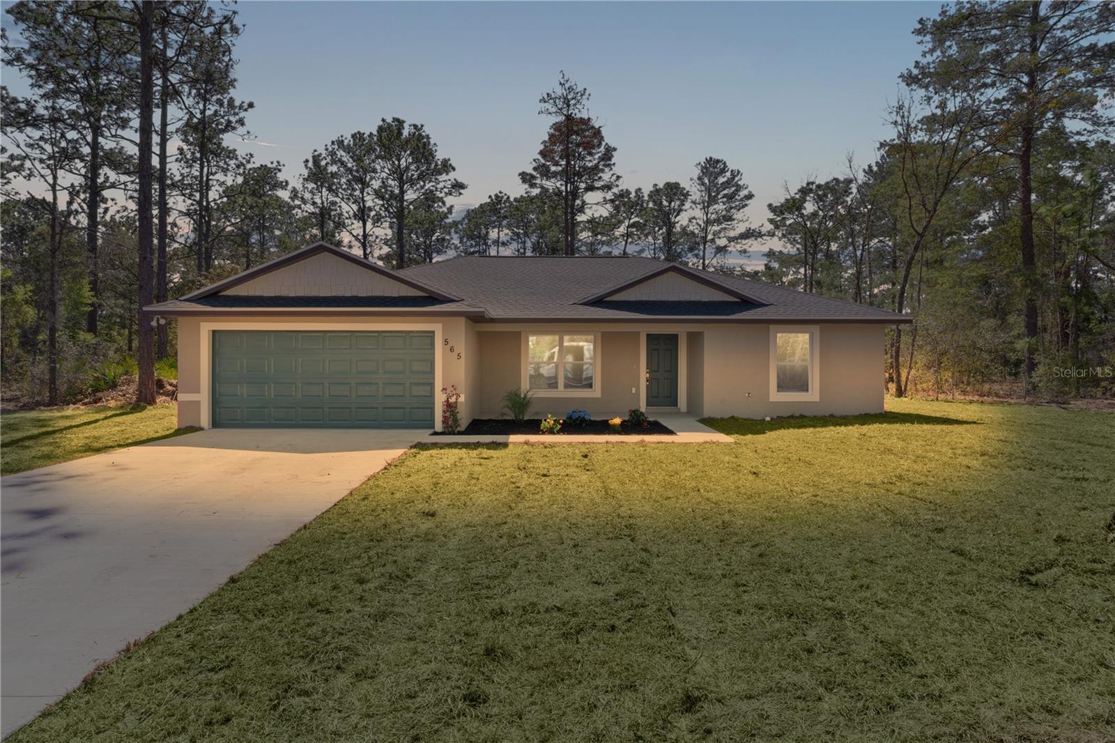 Details for 565 Malauka Radial, OCKLAWAHA, FL 32179