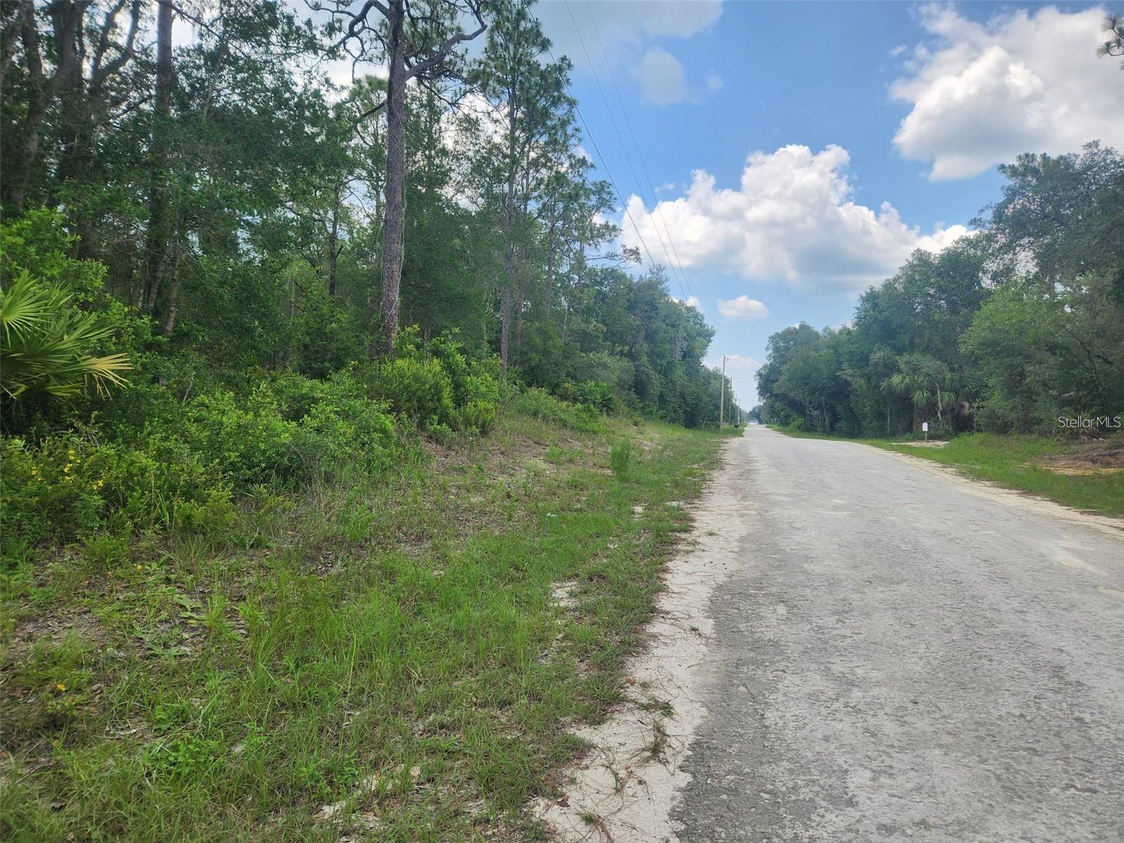 Details for 7143 Alloy Street, WEBSTER, FL 33597