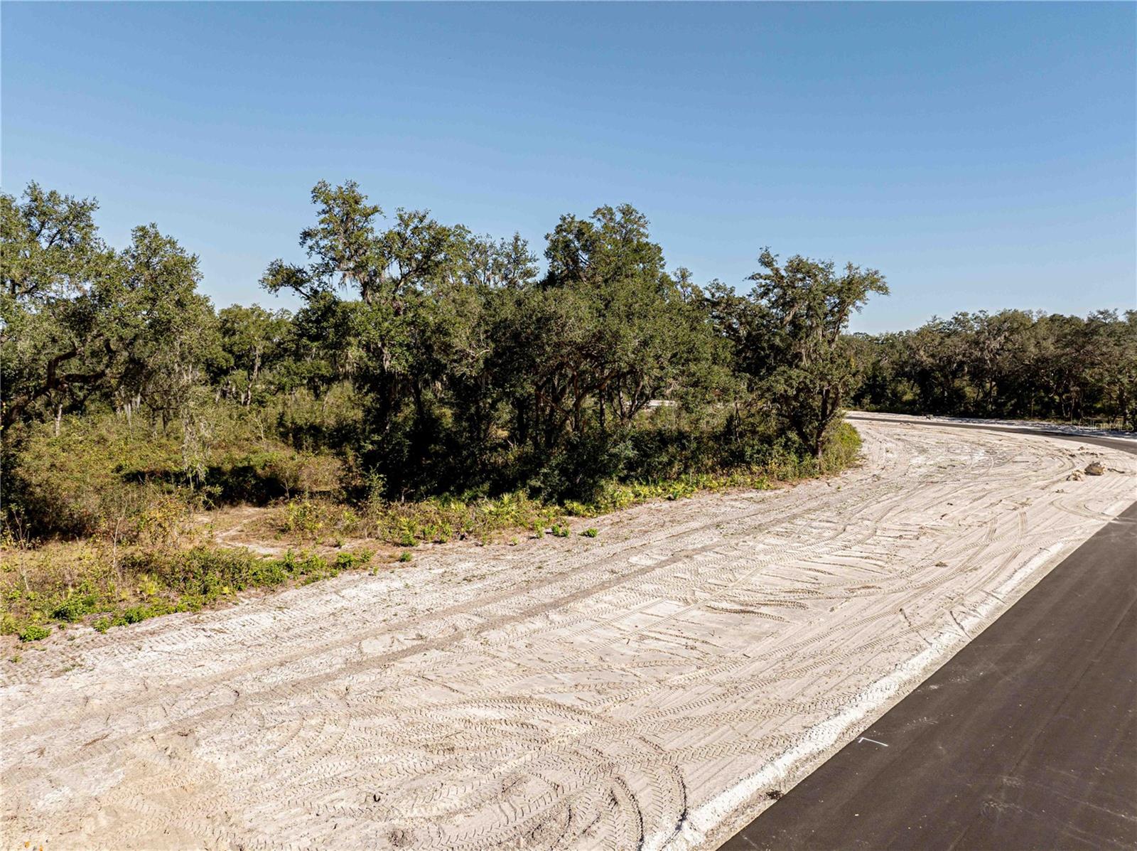 Image 14 of 19 For 1480 Oxford Preserve Trl