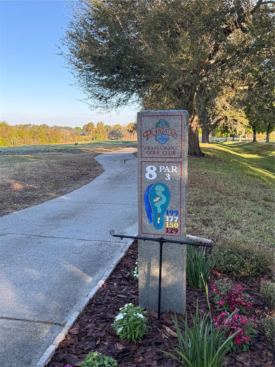 Image 62 of 100 For 25527 Oak Alley