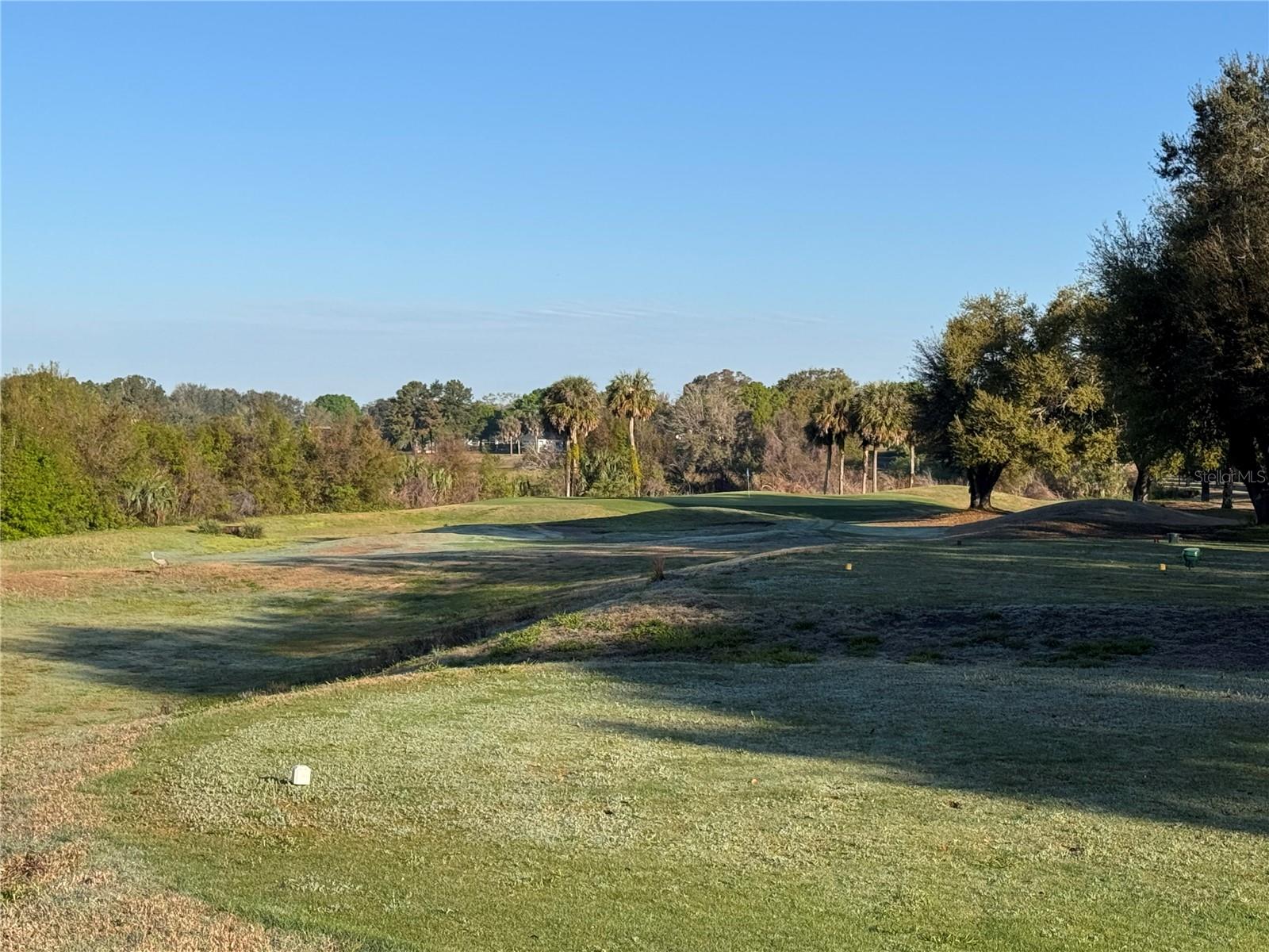 Image 63 of 100 For 25527 Oak Alley