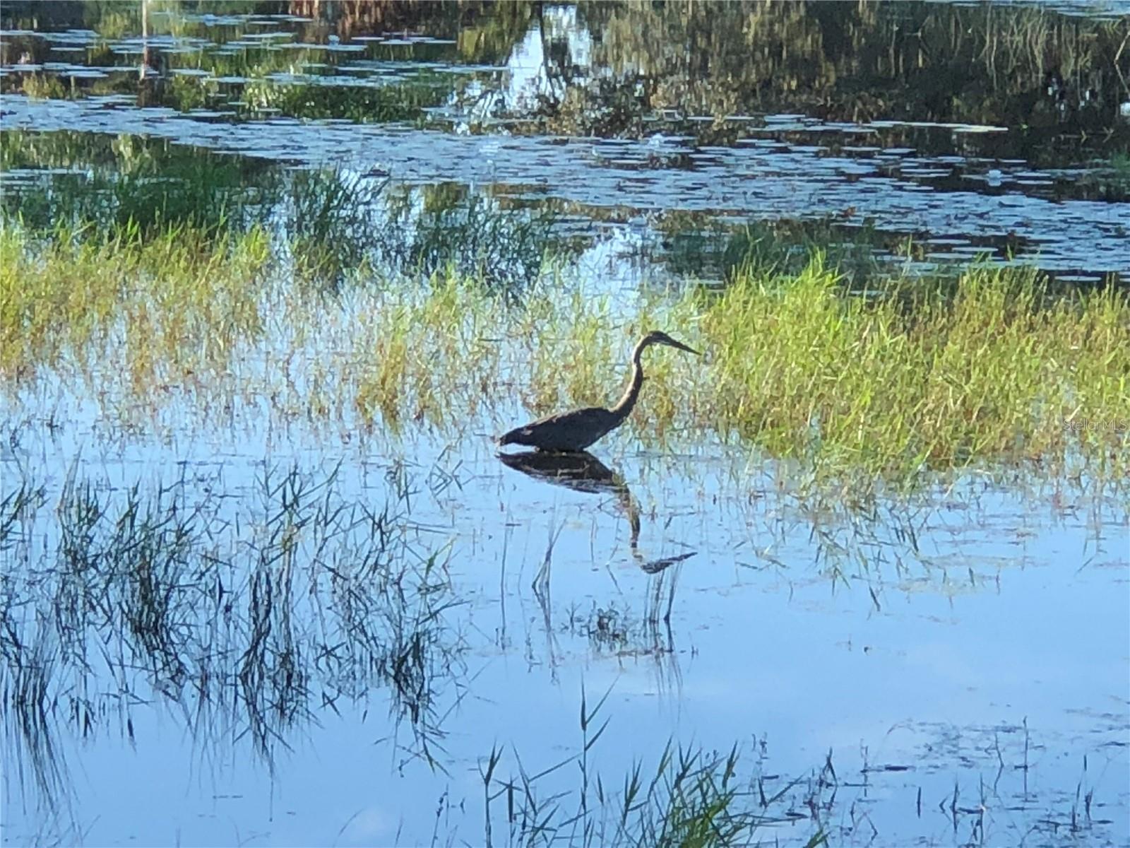Image 93 of 100 For 25527 Oak Alley