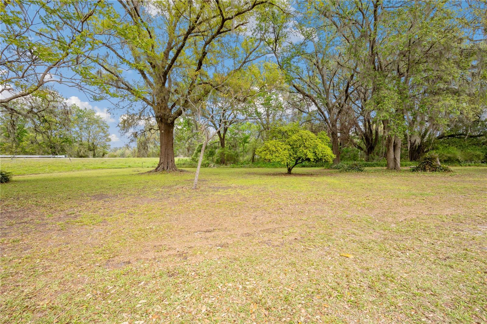 Image 44 of 46 For 2111 Sr 50  