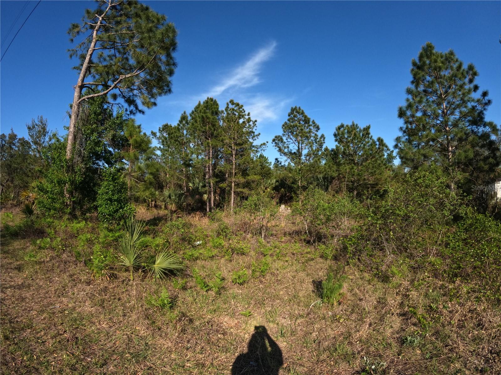 Image 12 of 14 For 43718 Cooter Pond Road